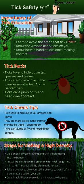tick infographic