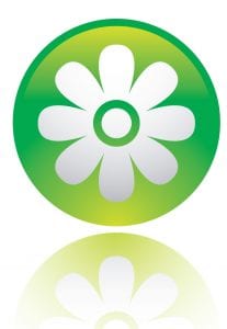 spring lawn care