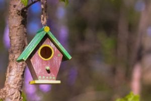 creating a good environment with lawn care