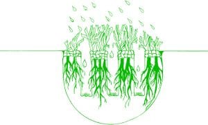 Slits cut in between grass sections of grass