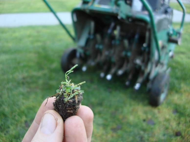 Image of a soil plug
